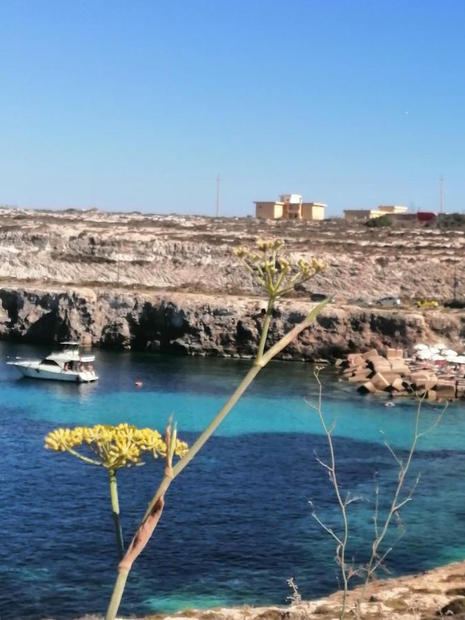 Monolocale Nelle Vicinanze Di Cala Pisana Villa Lampedusa Kültér fotó